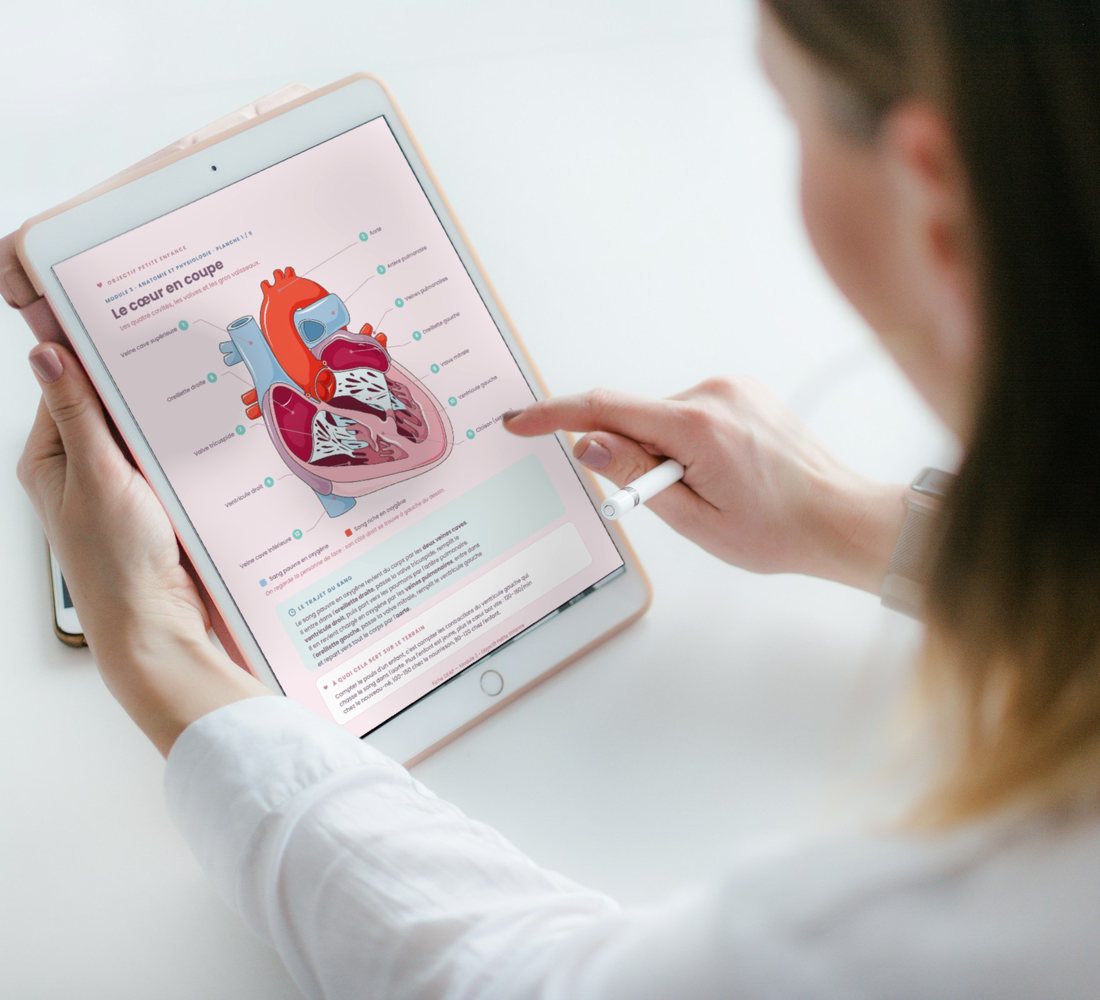 Une candidate révise la planche d'anatomie du cœur sur sa tablette